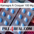 Kamagra À Croquer 100 Mg viagra4